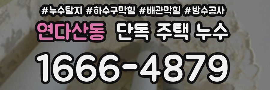 연다산동 단독 주택 누수