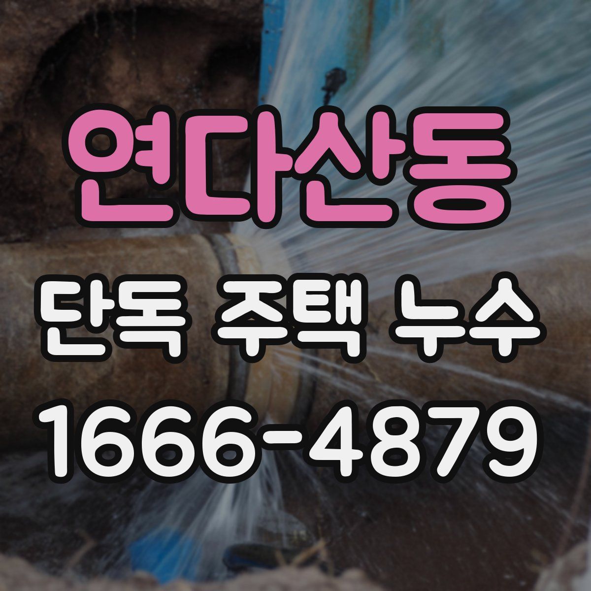 연다산동 단독 주택 누수