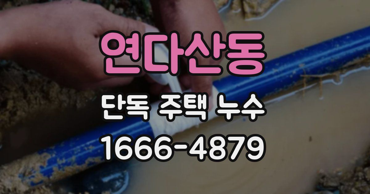연다산동 단독 주택 누수