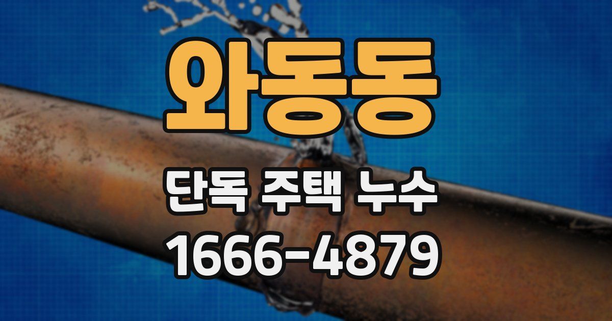와동동 단독 주택 누수