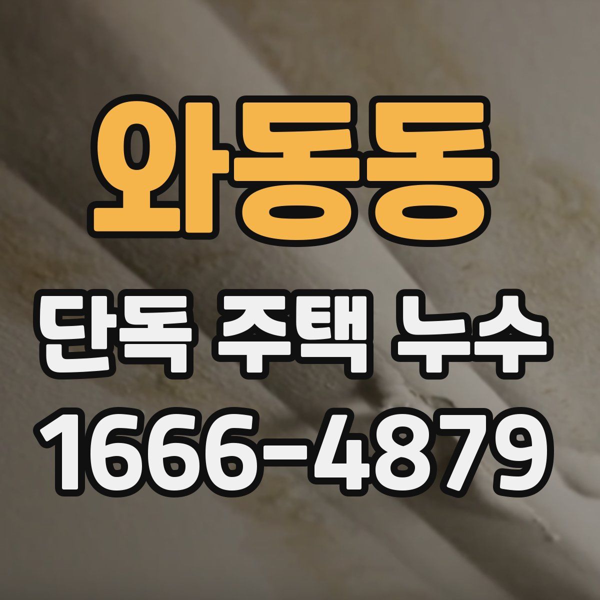 와동동 단독 주택 누수
