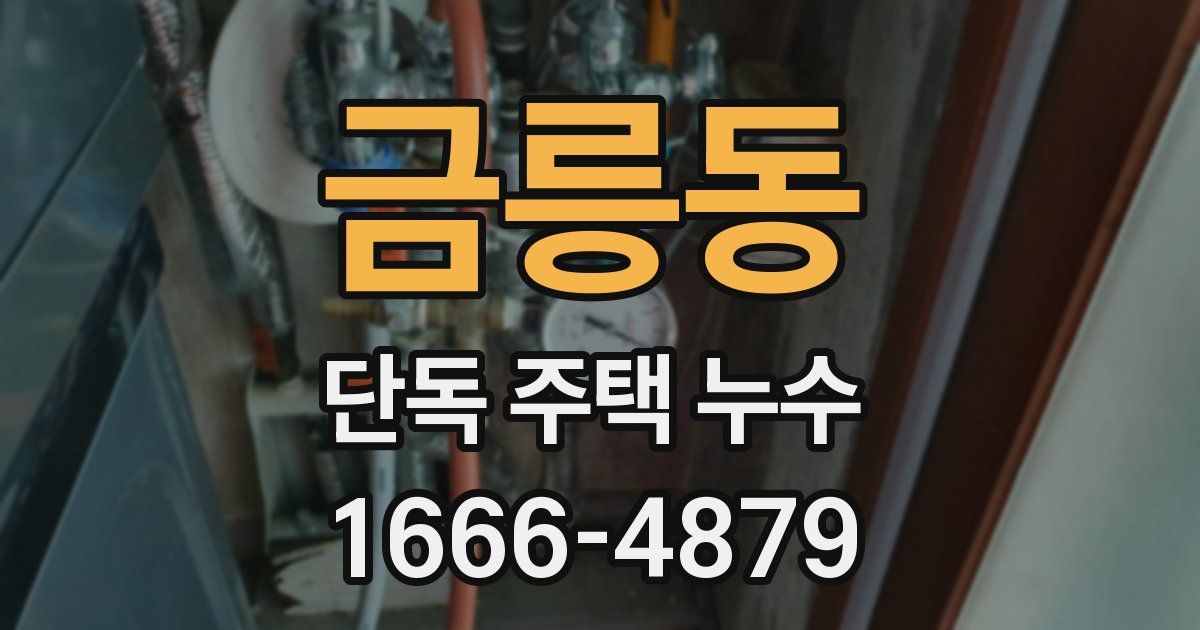 금릉동 단독 주택 누수