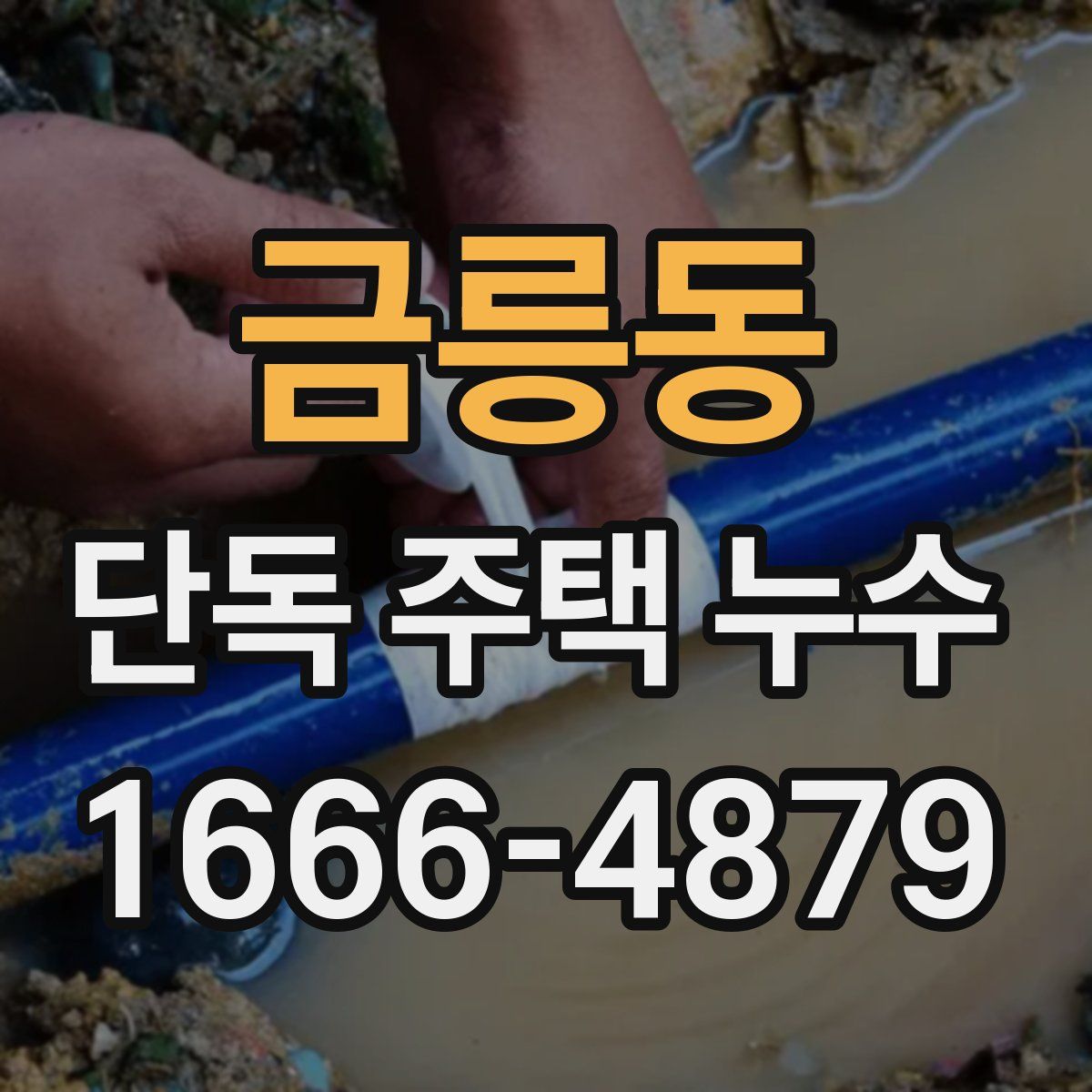 금릉동 단독 주택 누수