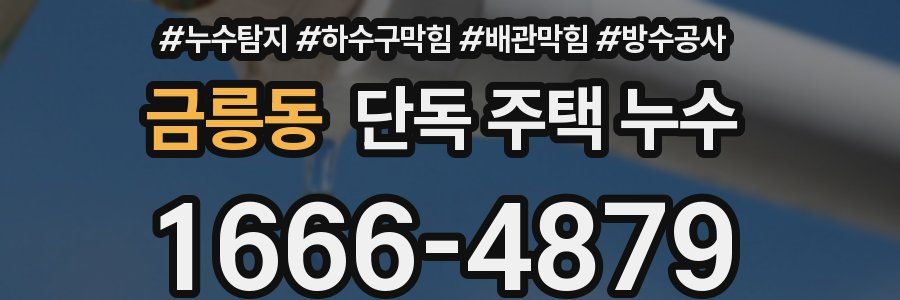 금릉동 단독 주택 누수