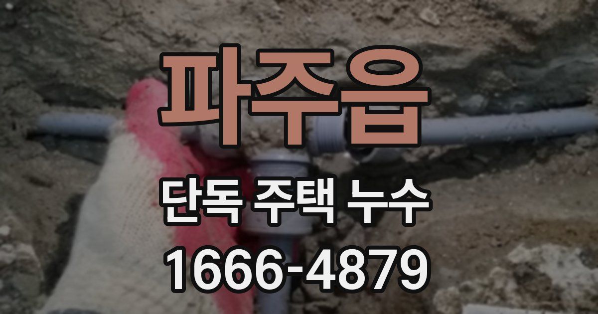 파주읍 단독 주택 누수
