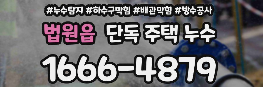 법원읍 단독 주택 누수