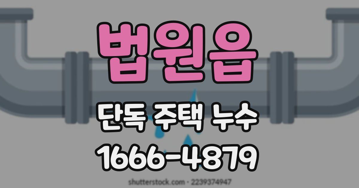 법원읍 단독 주택 누수