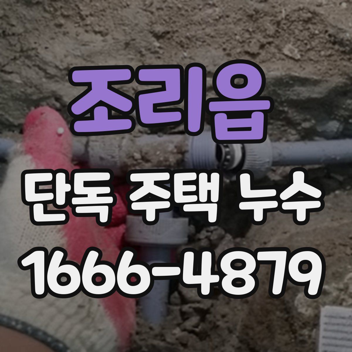 조리읍 단독 주택 누수