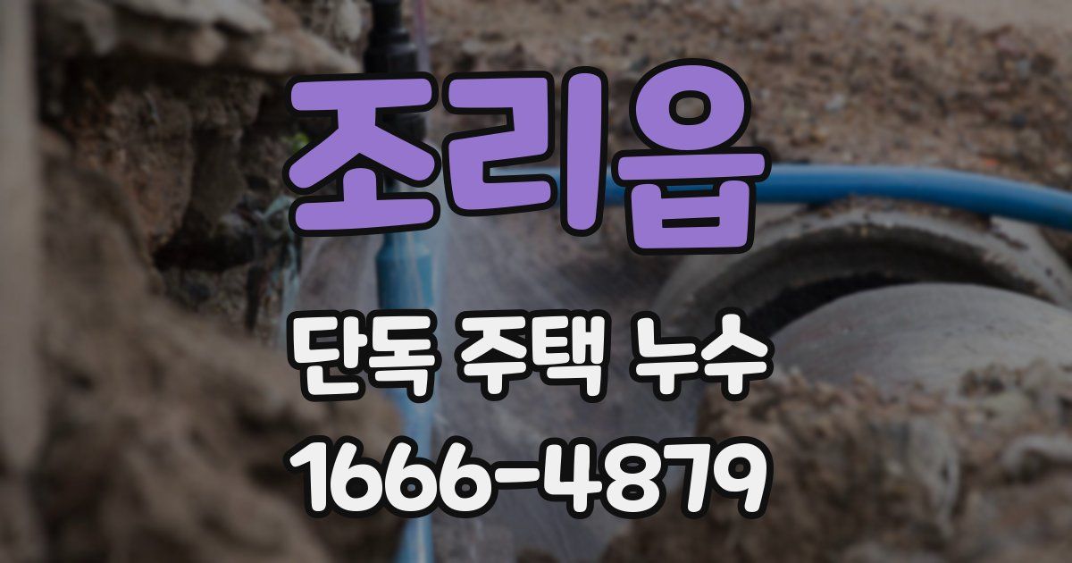 조리읍 단독 주택 누수