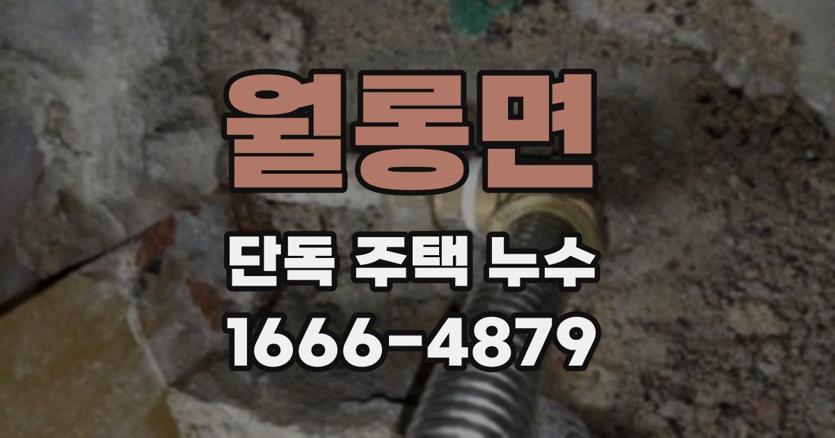 월롱면 단독 주택 누수