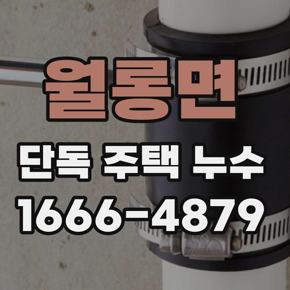 월롱면 단독 주택 누수