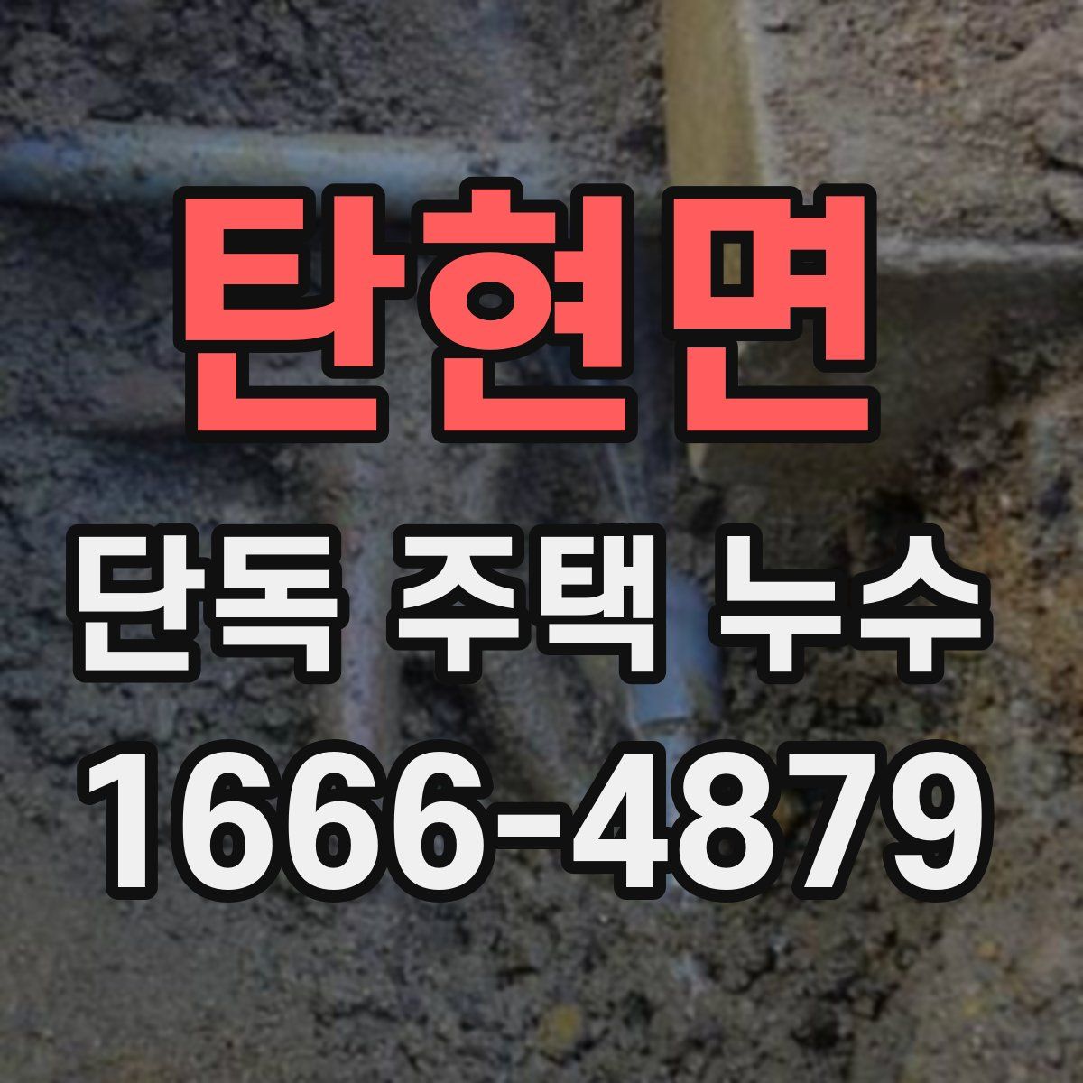 탄현면 단독 주택 누수