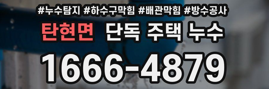 탄현면 단독 주택 누수