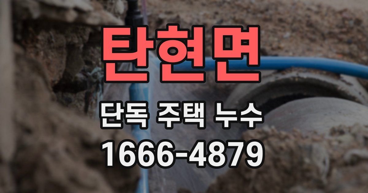 탄현면 단독 주택 누수