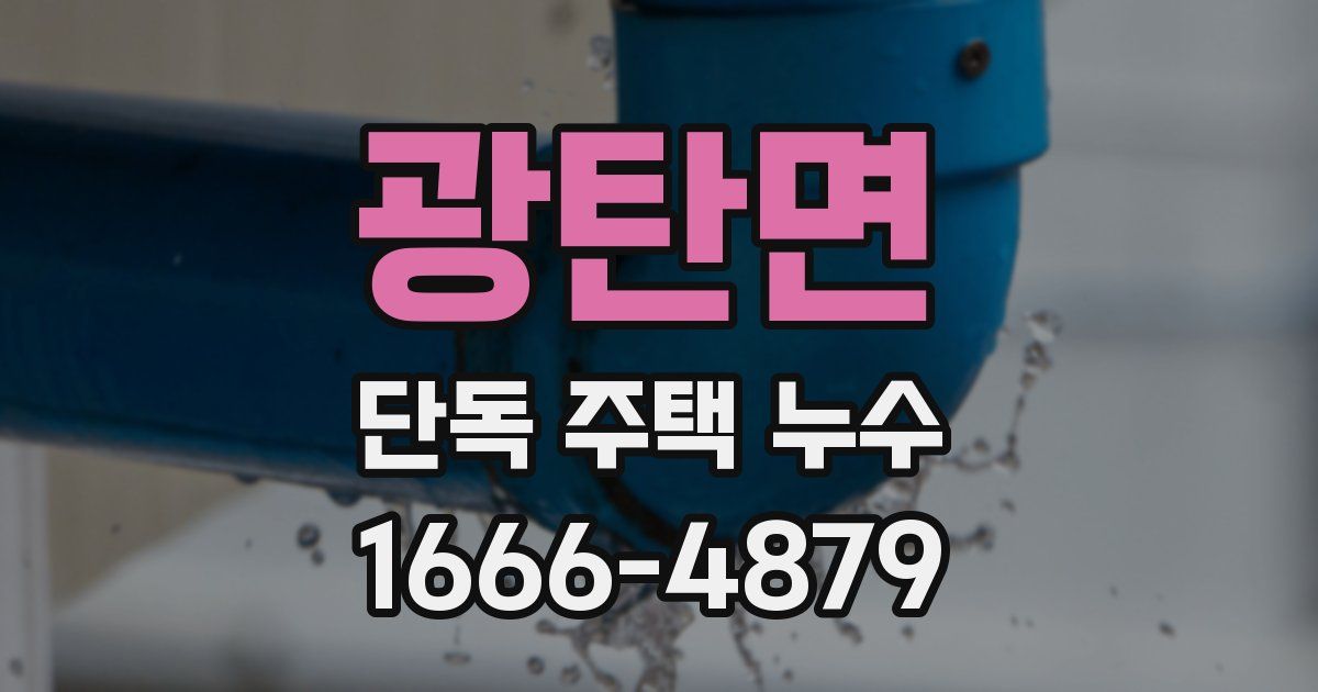 광탄면 단독 주택 누수
