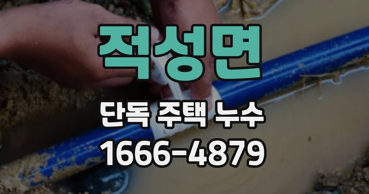 적성면 단독 주택 누수