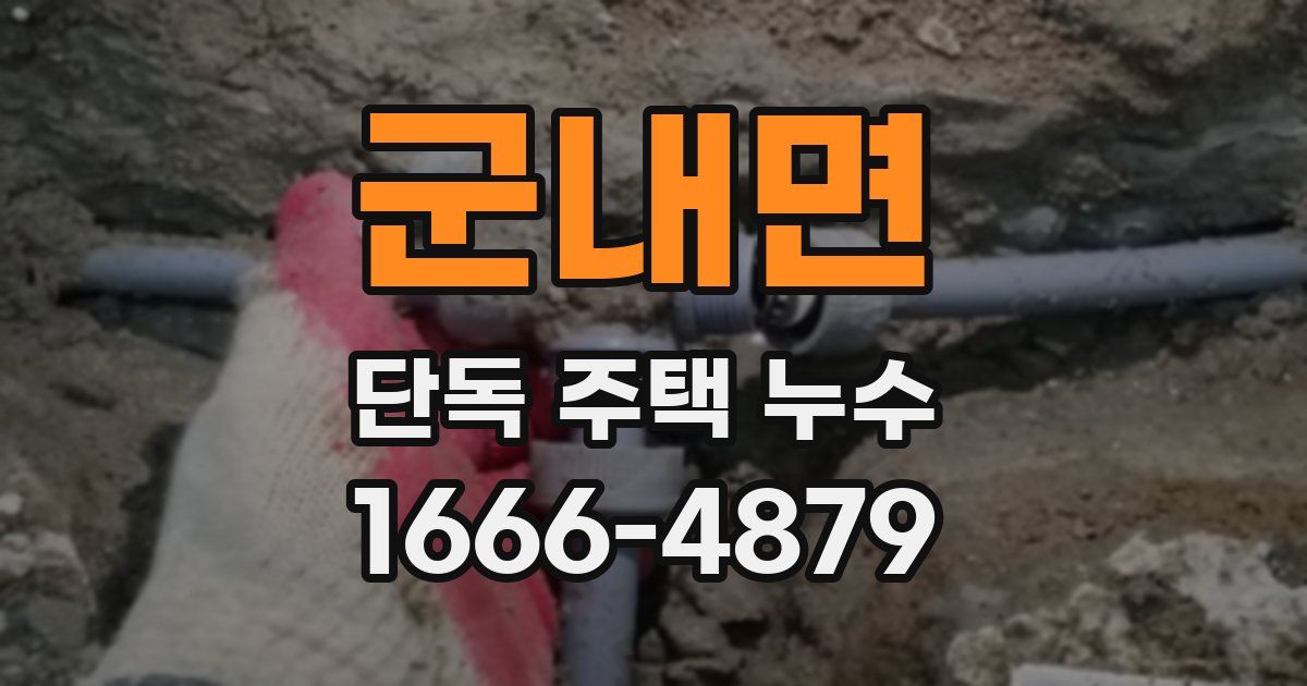 군내면 단독 주택 누수