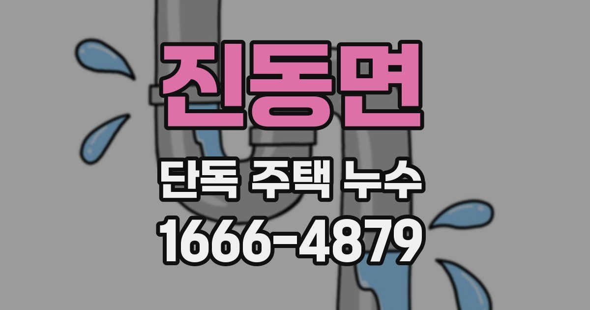 진동면 단독 주택 누수