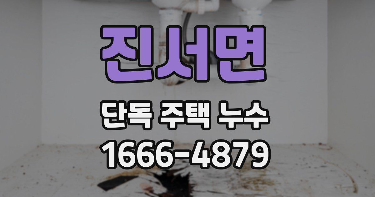 진서면 단독 주택 누수