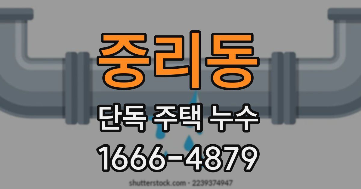 중리동 단독 주택 누수