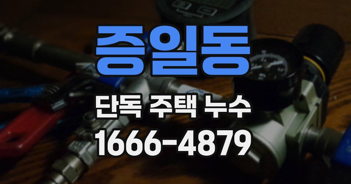 증일동 단독 주택 누수