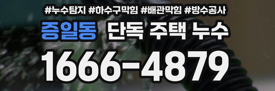 증일동 단독 주택 누수