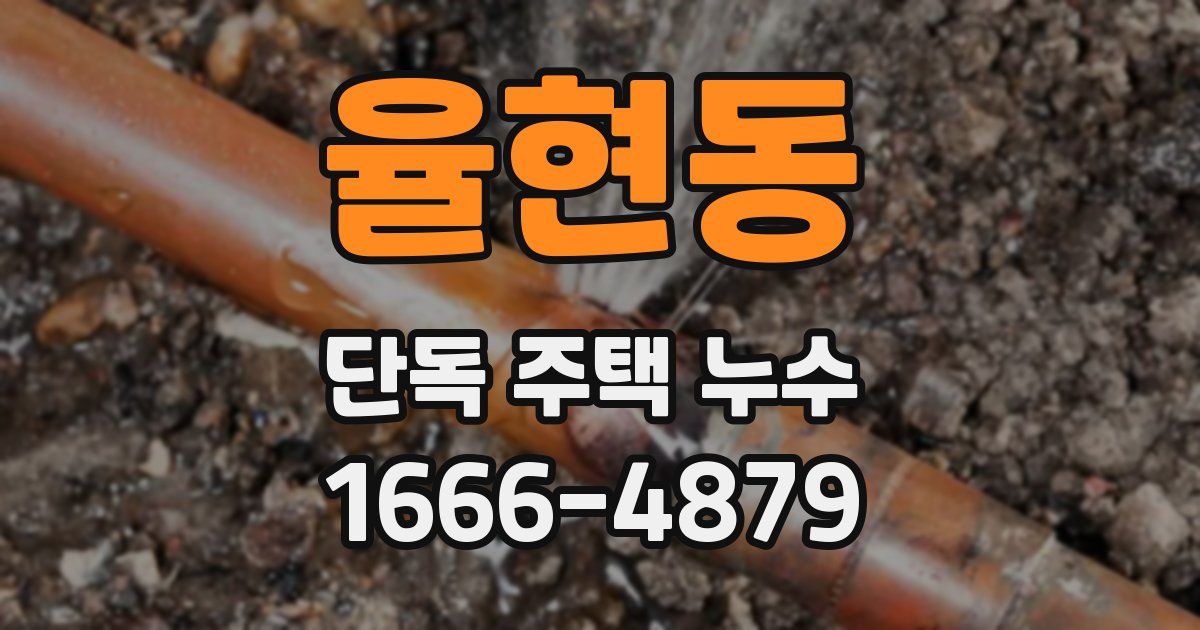 율현동 단독 주택 누수
