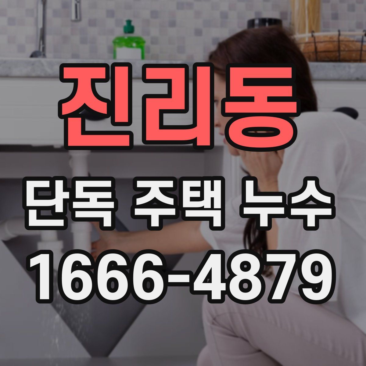 진리동 단독 주택 누수