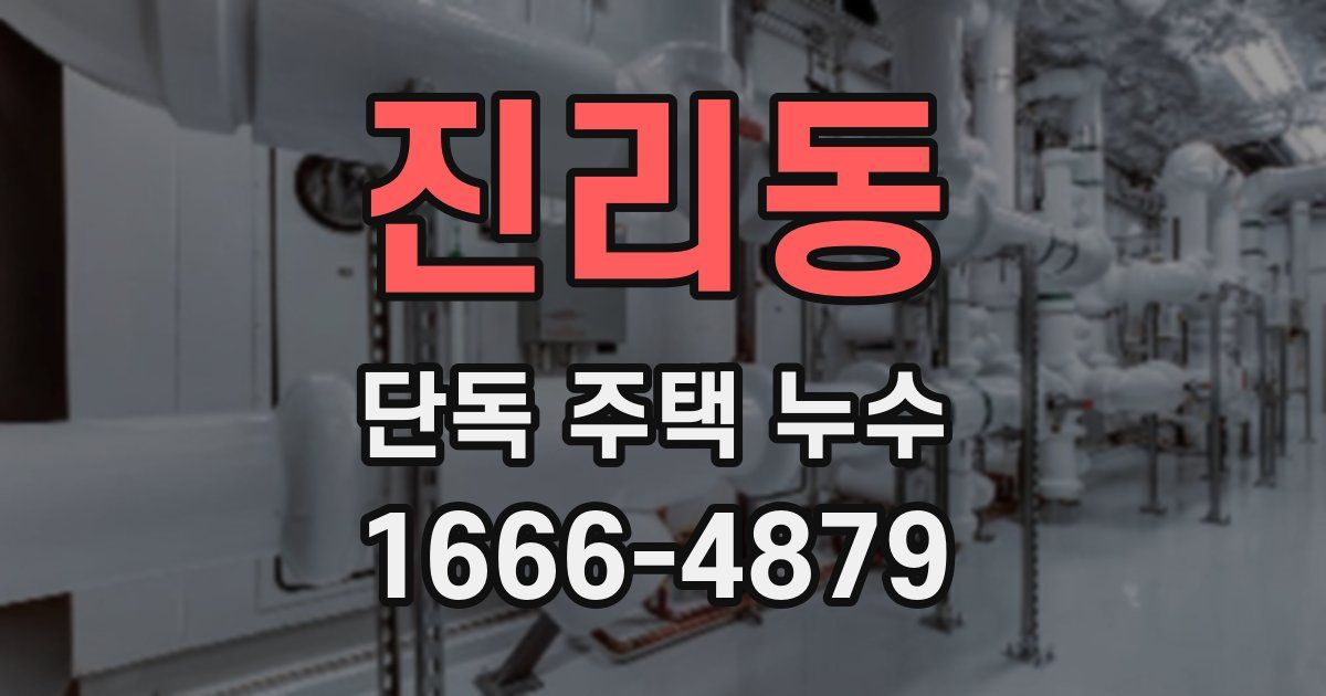 진리동 단독 주택 누수