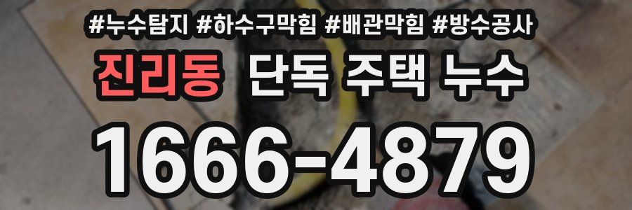 진리동 단독 주택 누수