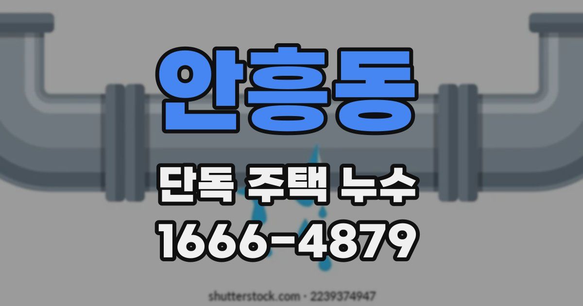안흥동 단독 주택 누수