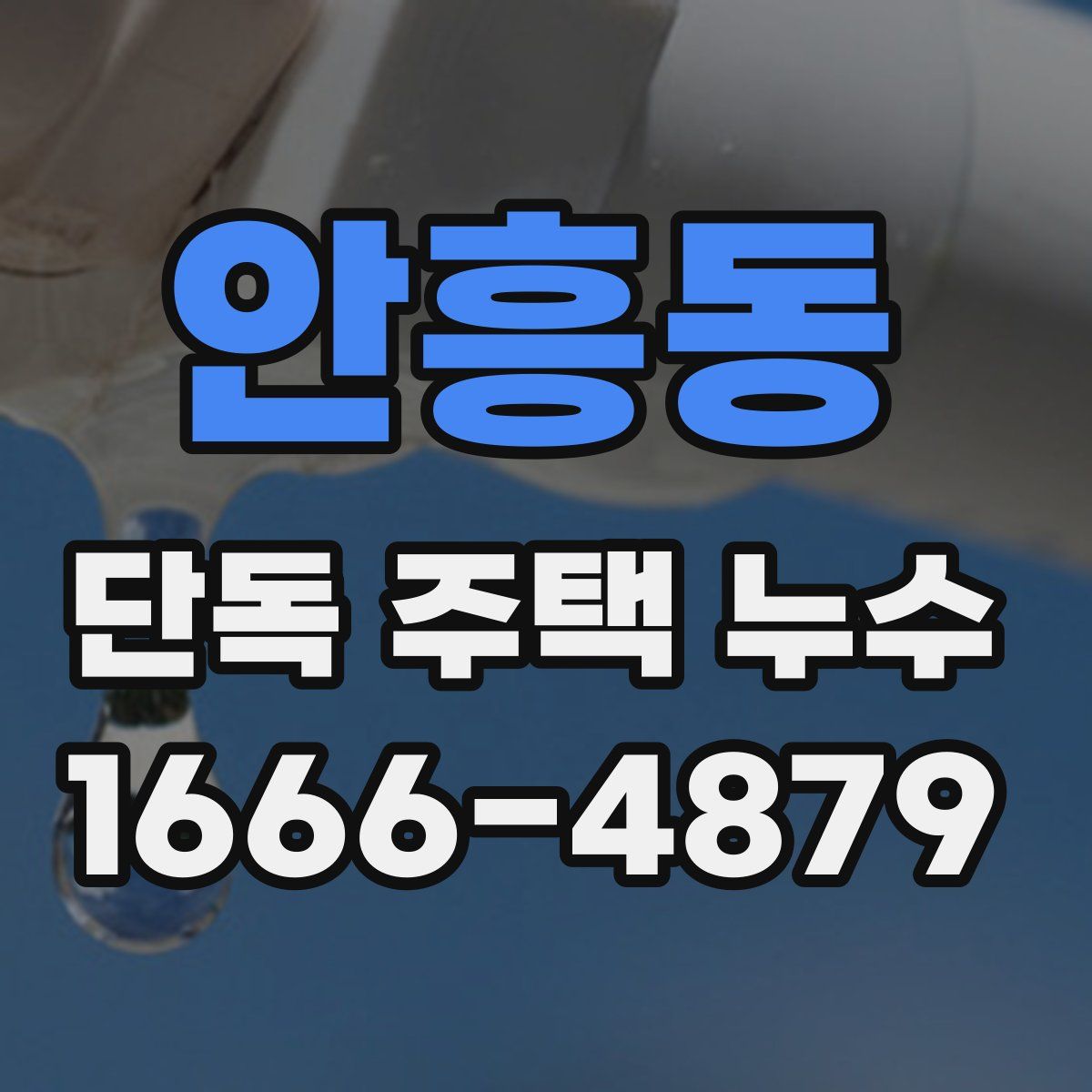 안흥동 단독 주택 누수