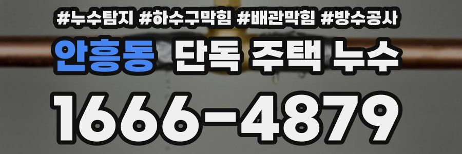 안흥동 단독 주택 누수