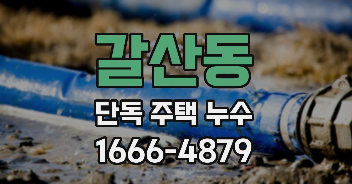 갈산동 단독 주택 누수