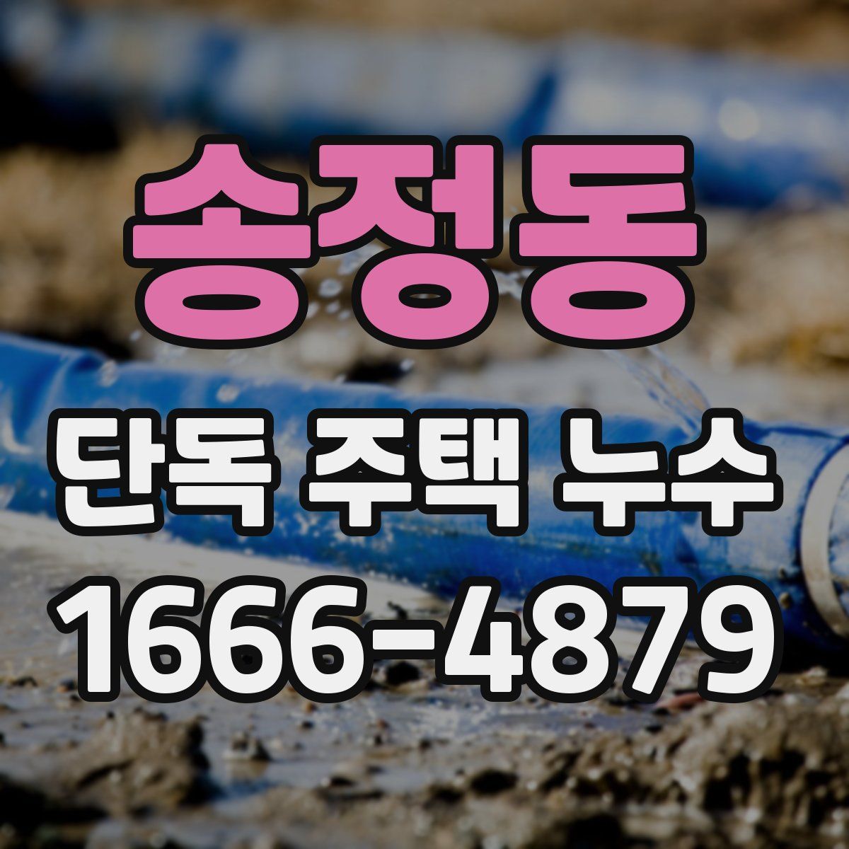 송정동 단독 주택 누수