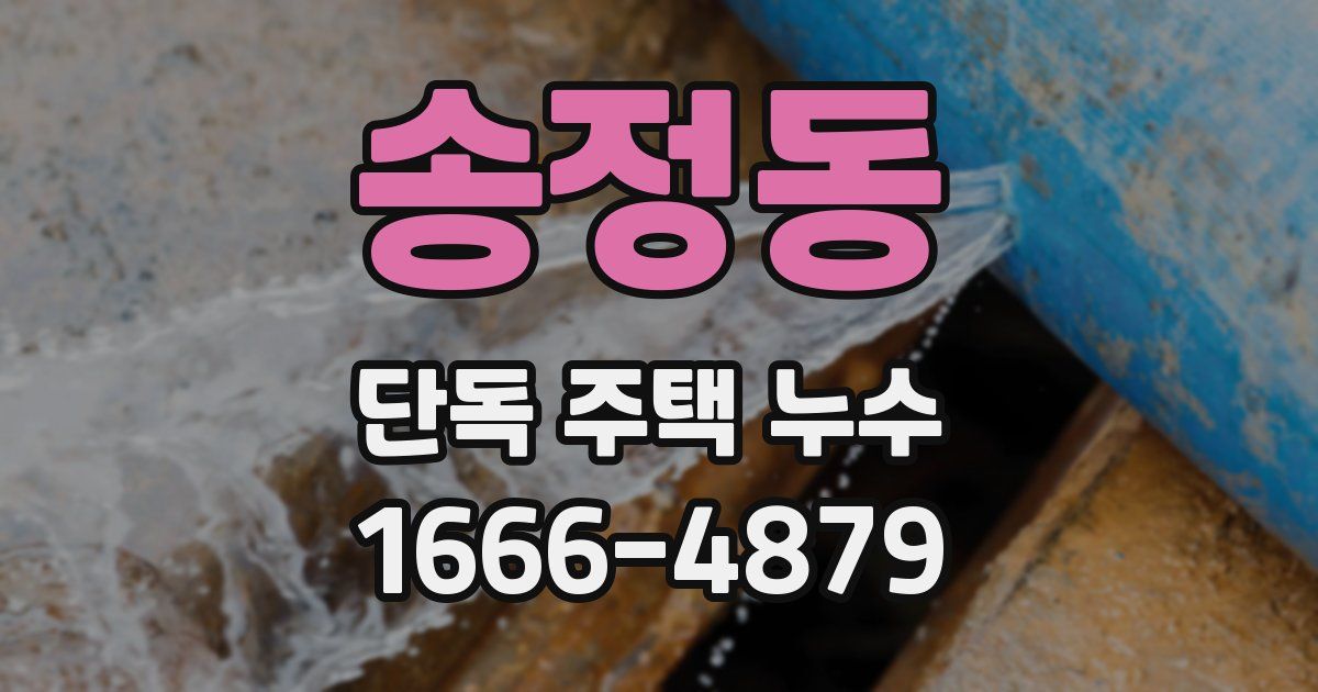 송정동 단독 주택 누수