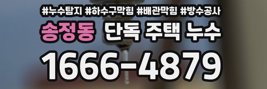 송정동 단독 주택 누수
