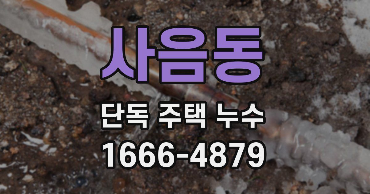 사음동 단독 주택 누수