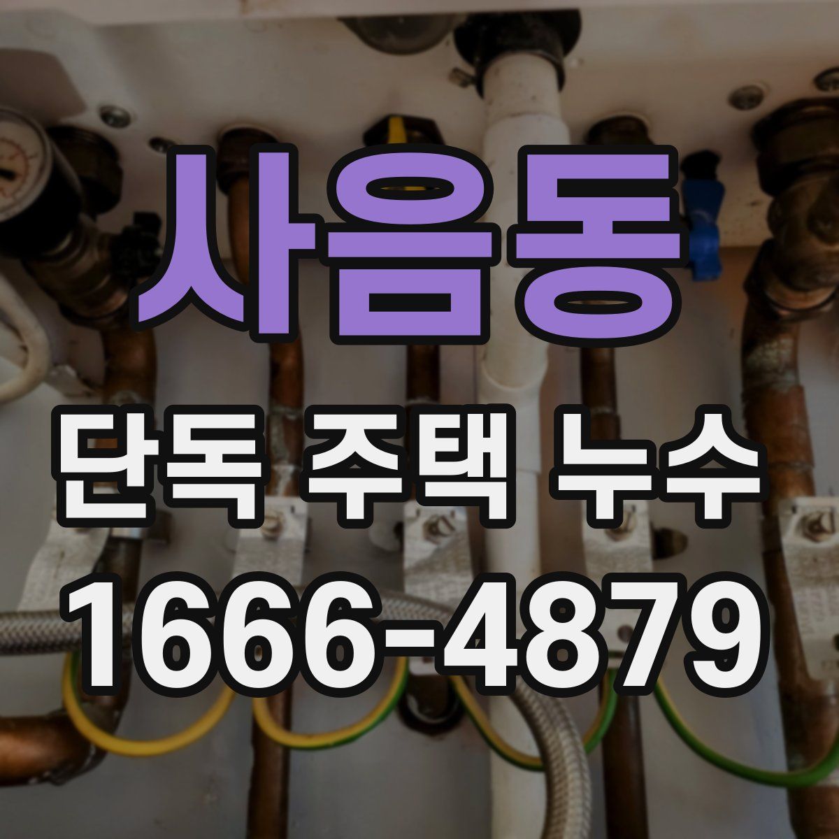사음동 단독 주택 누수