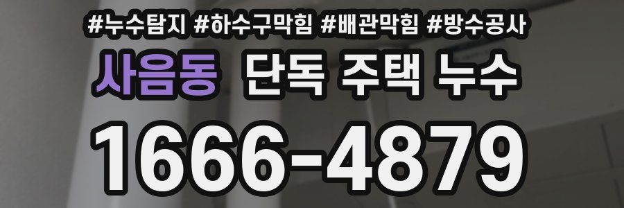 사음동 단독 주택 누수