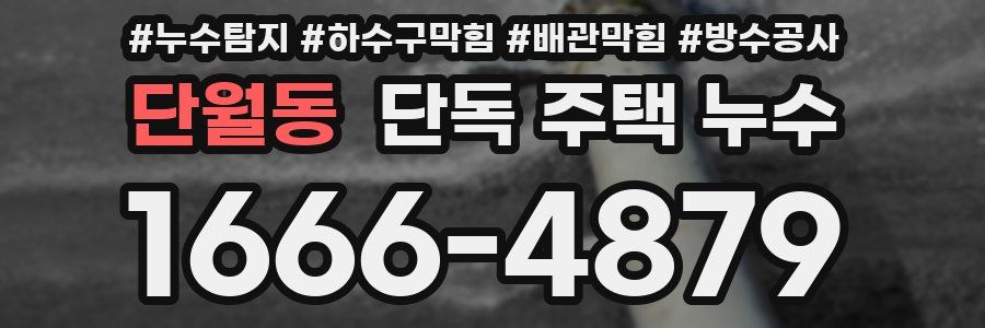 단월동 단독 주택 누수