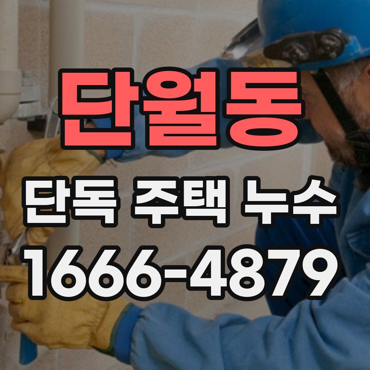 단월동 단독 주택 누수