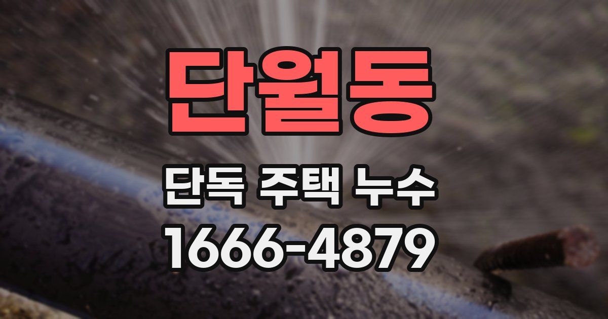 단월동 단독 주택 누수
