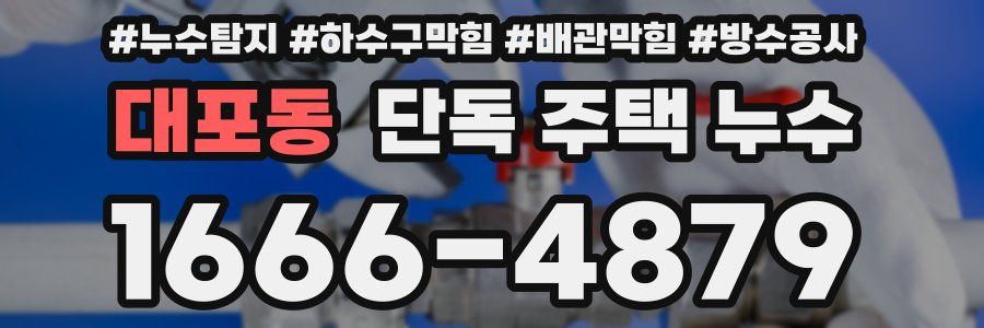 대포동 단독 주택 누수