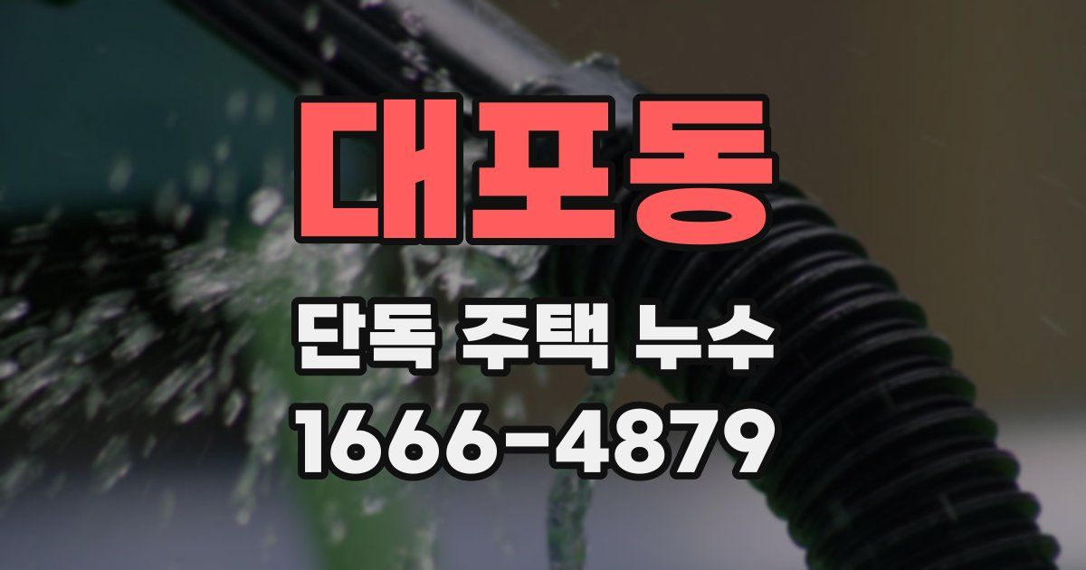 대포동 단독 주택 누수