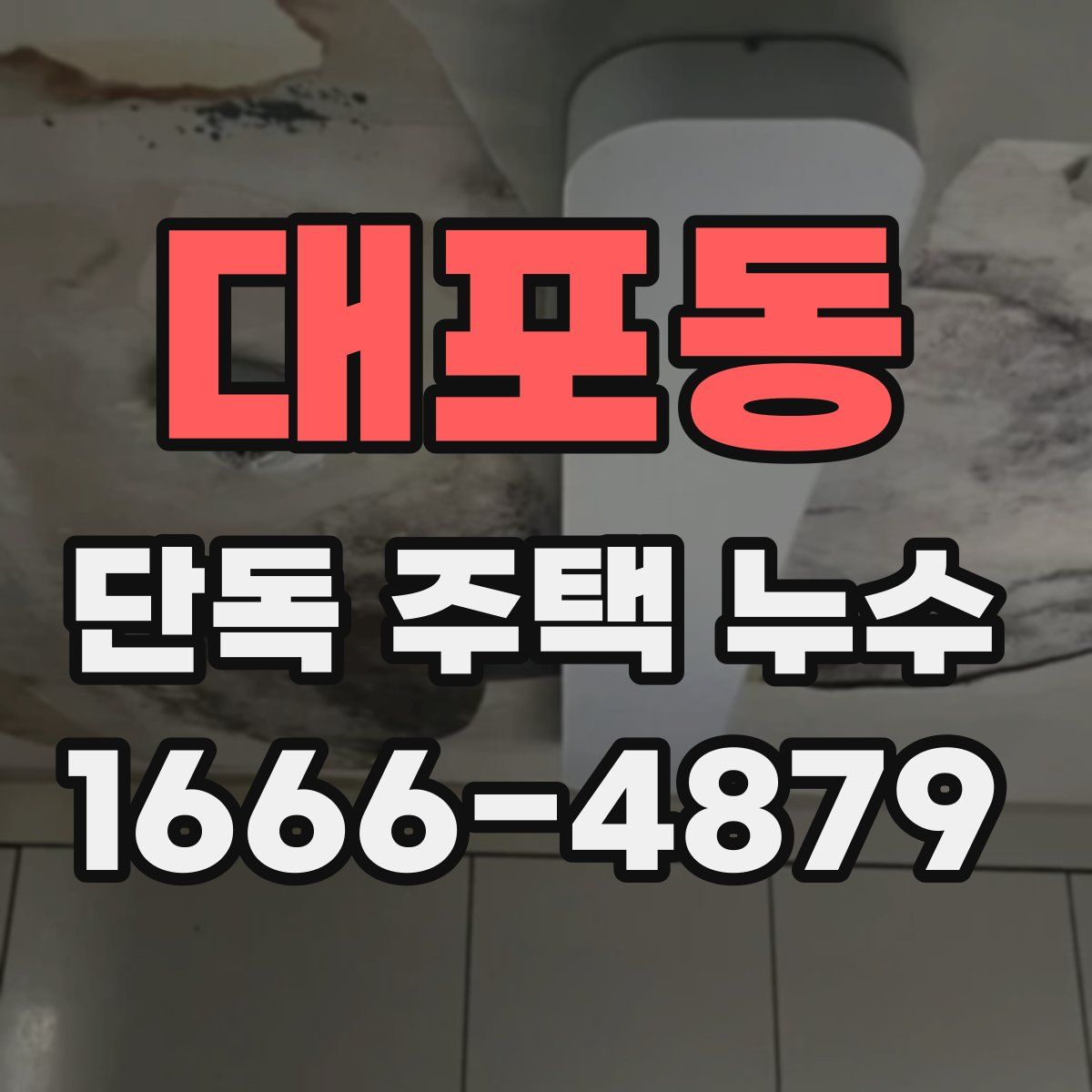대포동 단독 주택 누수