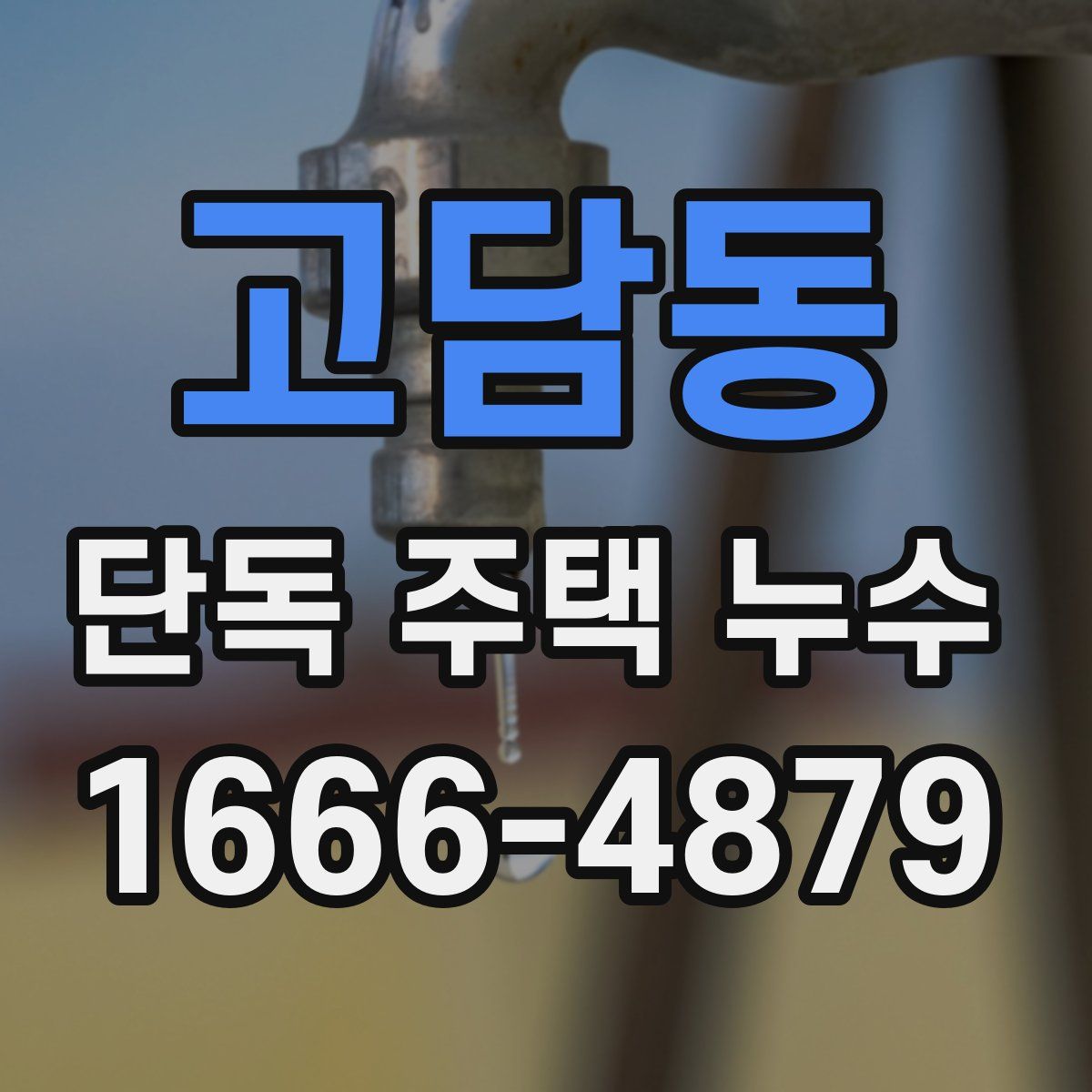 고담동 단독 주택 누수