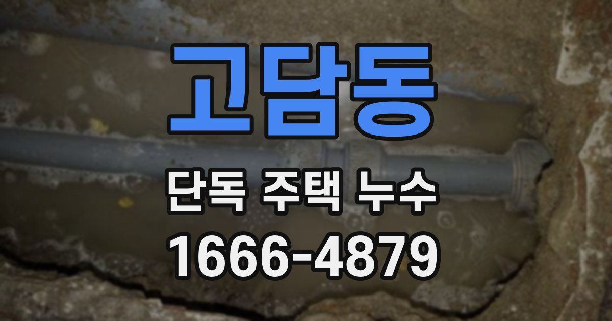 고담동 단독 주택 누수