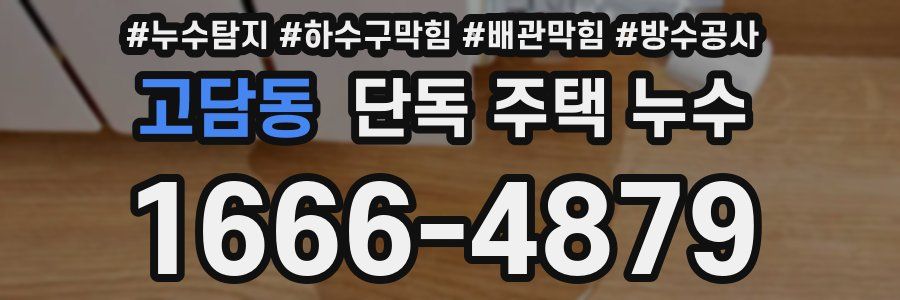 고담동 단독 주택 누수