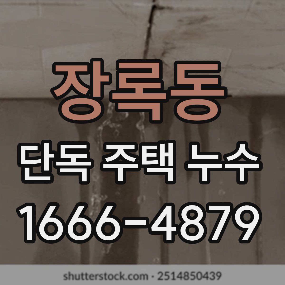 장록동 단독 주택 누수